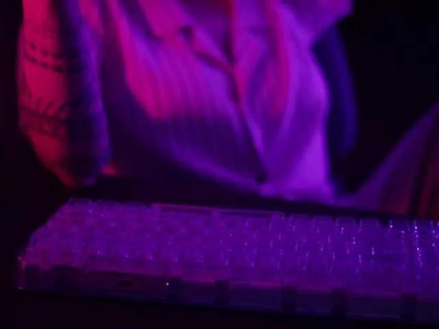 Checkout cute escort DianaMurr DianaMurr from BongaCams