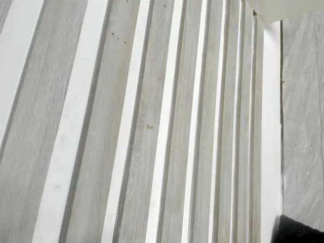 BongaCams Wandalover wandalover from BongaCams